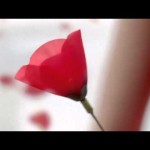 Kenzo - Flower, piękniejszy świat