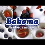 Bakoma - Twist - Kosmonauta