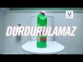 Domestos: 2024